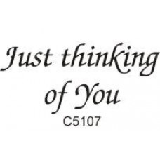 C5107 Just Thinking of You